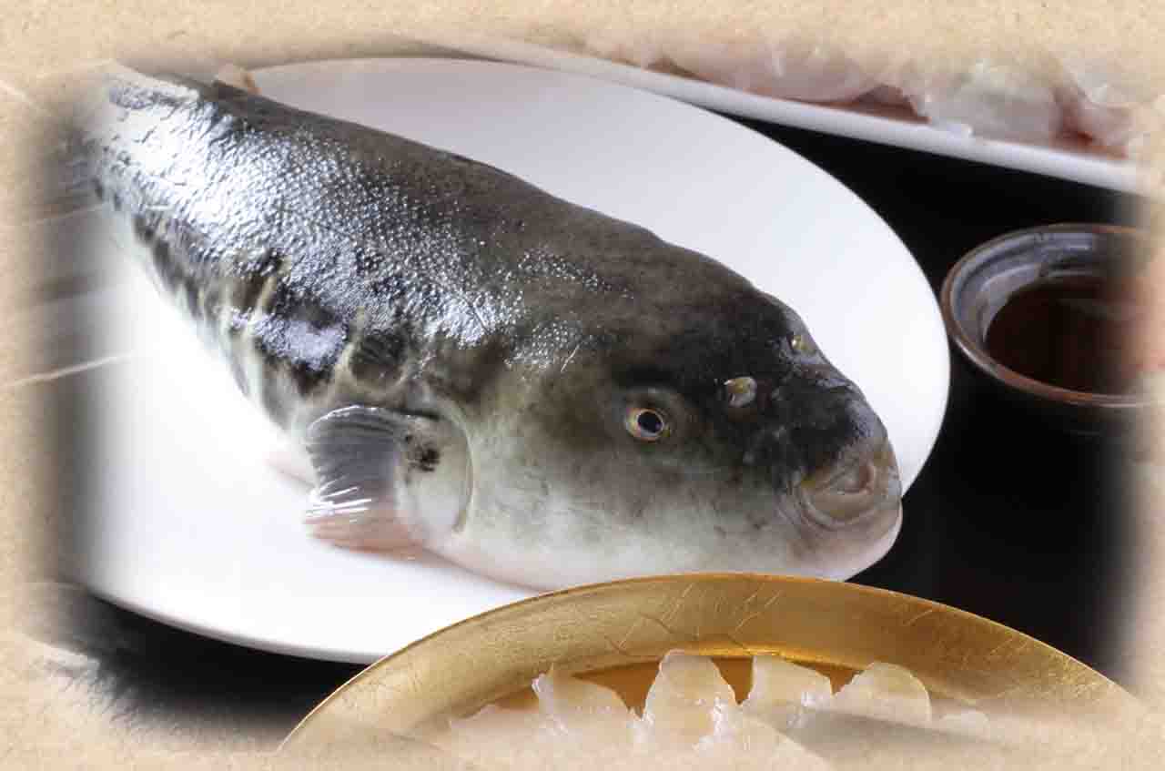 酢もつ.jpg